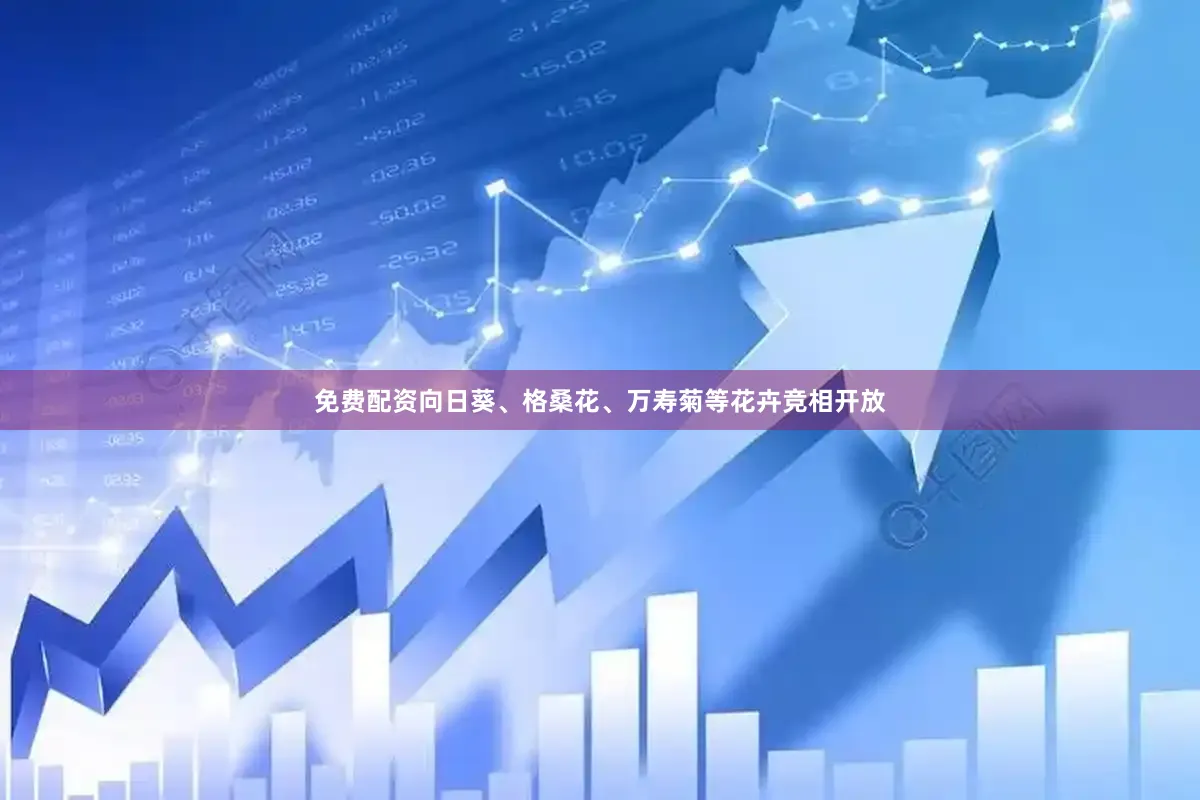免费配资向日葵、格桑花、万寿菊等花卉竞相开放