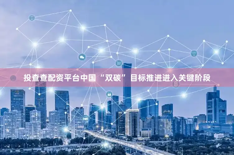 投查查配资平台中国 “双碳” 目标推进进入关键阶段