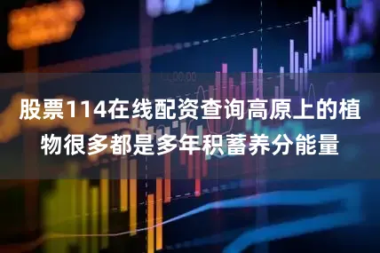 股票114在线配资查询高原上的植物很多都是多年积蓄养分能量