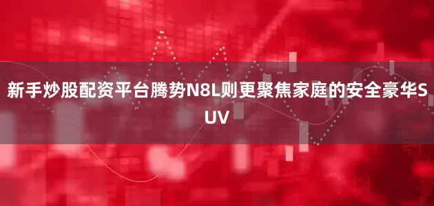 新手炒股配资平台腾势N8L则更聚焦家庭的安全豪华SUV